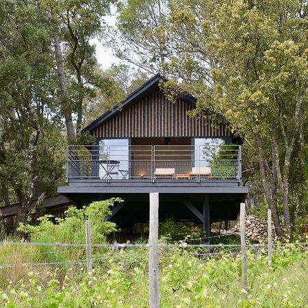 多美因蒙特威尔第住宿加早餐旅馆 弗莱约斯克 外观 照片